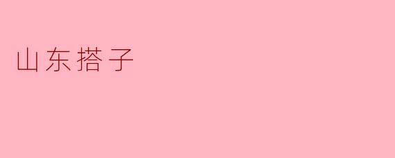 山东搭子