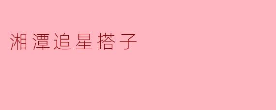 湘潭追星搭子