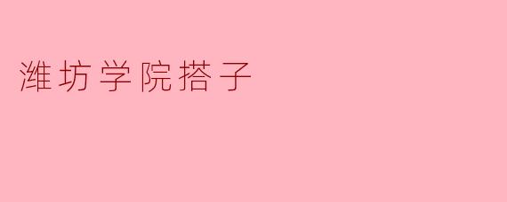 潍坊学院搭子