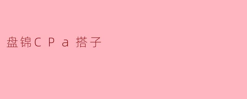 盘锦CPa搭子