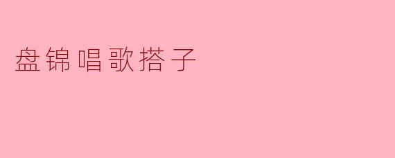 盘锦唱歌搭子