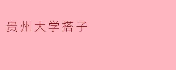 贵州大学搭子