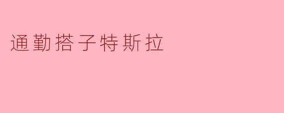 通勤搭子特斯拉