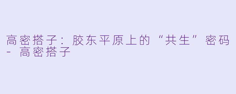 高密搭子:胶东平原上的“共生”密码-高密搭子