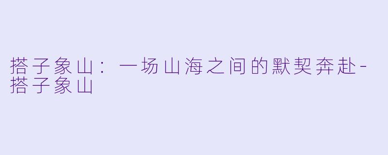 搭子象山:一场山海之间的默契奔赴-搭子象山