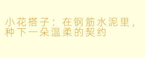 小花搭子:在钢筋水泥里,种下一朵温柔的契约