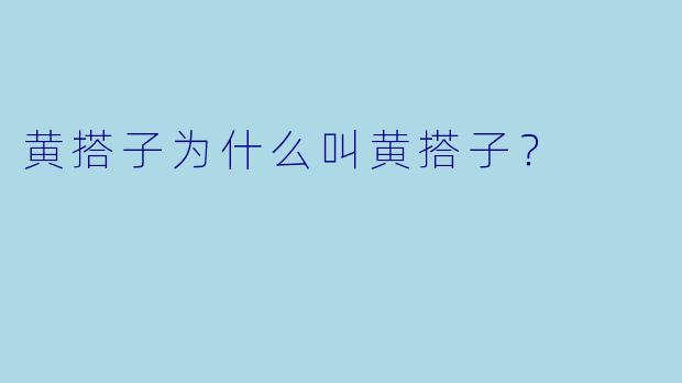 黄搭子为什么叫黄搭子？