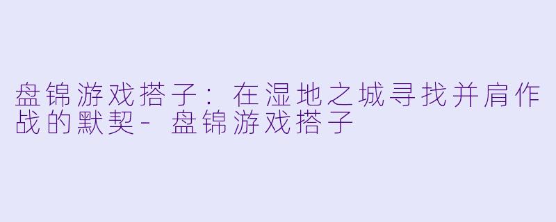 盘锦游戏搭子:在湿地之城寻找并肩作战的默契-盘锦游戏搭子