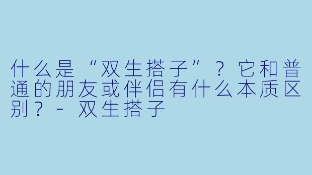 什么是“双生搭子”？它和普通的朋友或伴侣有什么本质区别？-双生搭子