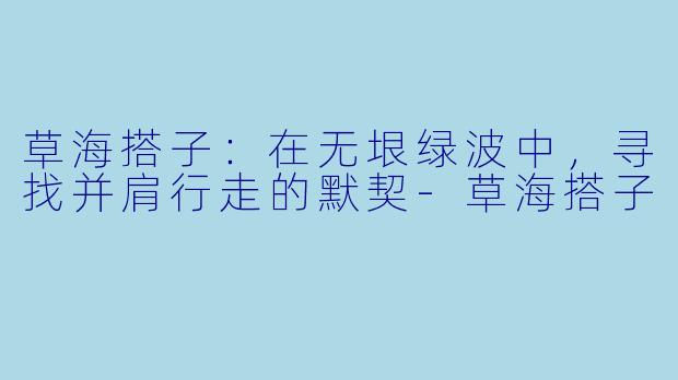 草海搭子:在无垠绿波中,寻找并肩行走的默契-草海搭子