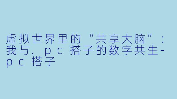 虚拟世界里的“共享大脑”:我与.pc搭子的数字共生-pc搭子