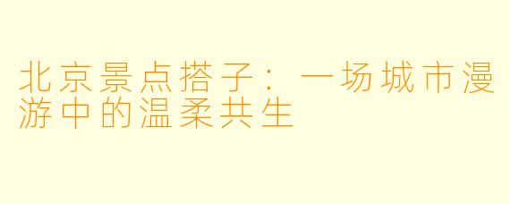北京景点搭子：一场城市漫游中的温柔共生