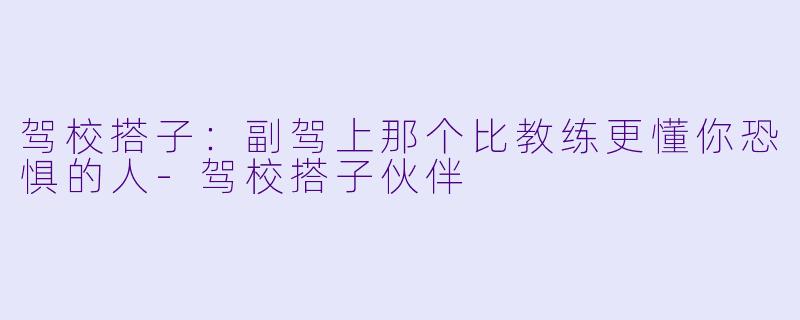 驾校搭子：副驾上那个比教练更懂你恐惧的人-驾校搭子伙伴