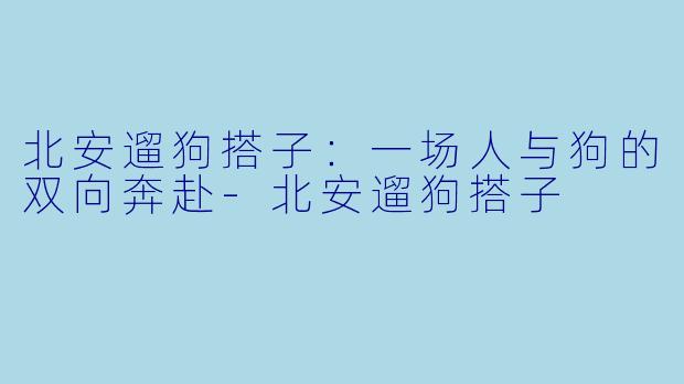 北安遛狗搭子：一场人与狗的双向奔赴-北安遛狗搭子