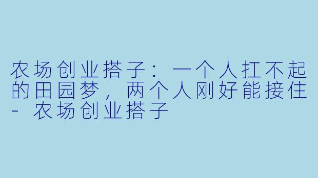 农场创业搭子:一个人扛不起的田园梦,两个人刚好能接住-农场创业搭子