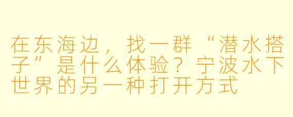 在东海边,找一群“潜水搭子”是什么体验?宁波水下世界的另一种打开方式
