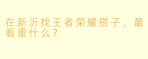 在新沂找王者荣耀搭子，最看重什么？