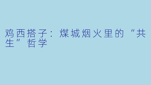 鸡西搭子:煤城烟火里的“共生”哲学