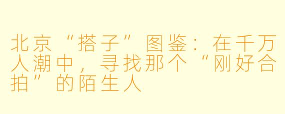 北京“搭子”图鉴:在千万人潮中,寻找那个“刚好合拍”的陌生人