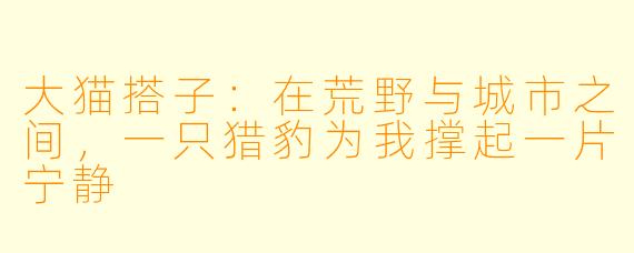 大猫搭子：在荒野与城市之间，一只猎豹为我撑起一片宁静