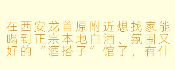 在西安龙首原附近想找家能喝到正宗本地白酒、氛围又好的“酒搭子”馆子，有什么推荐？