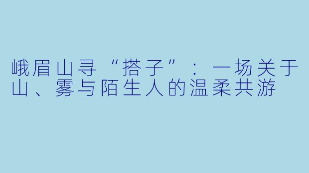 峨眉山寻“搭子”:一场关于山、雾与陌生人的温柔共游