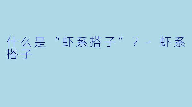什么是“虾系搭子”？-虾系搭子