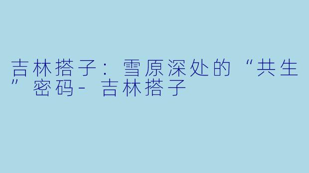 吉林搭子:雪原深处的“共生”密码-吉林搭子