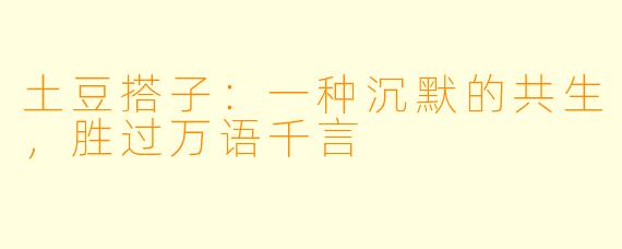 土豆搭子：一种沉默的共生，胜过万语千言