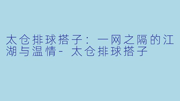 太仓排球搭子:一网之隔的江湖与温情-太仓排球搭子