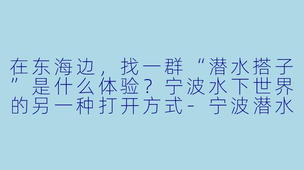 在东海边,找一群“潜水搭子”是什么体验?宁波水下世界的另一种打开方式-宁波潜水搭子