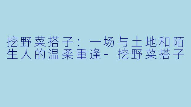 挖野菜搭子:一场与土地和陌生人的温柔重逢-挖野菜搭子