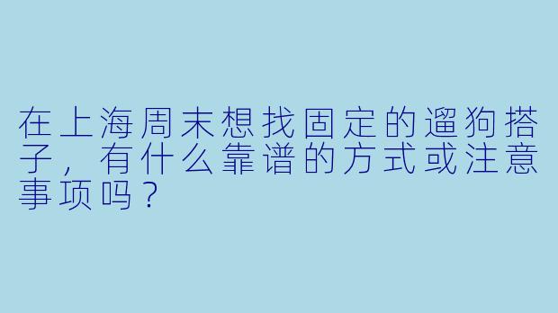 在上海周末想找固定的遛狗搭子,有什么靠谱的方式或注意事项吗?