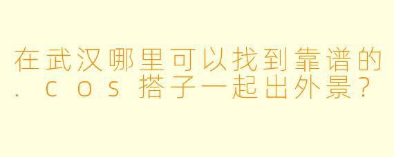 在武汉哪里可以找到靠谱的.cos搭子一起出外景?