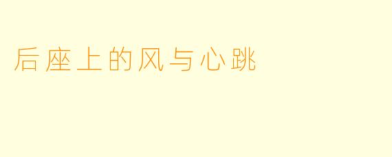 后座上的风与心跳