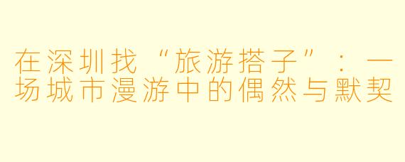 在深圳找“旅游搭子”:一场城市漫游中的偶然与默契