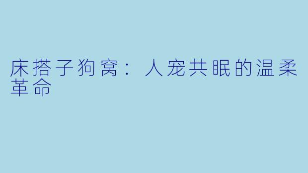 床搭子狗窝：人宠共眠的温柔革命