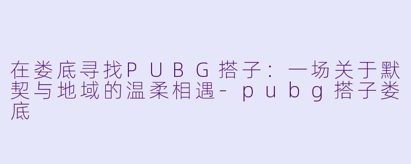 在娄底寻找PUBG搭子：一场关于默契与地域的温柔相遇-pubg搭子娄底