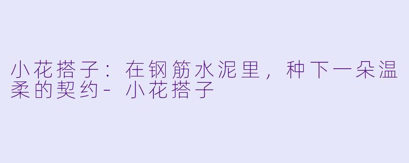 小花搭子:在钢筋水泥里,种下一朵温柔的契约-小花搭子