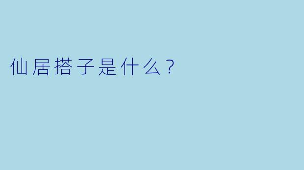 仙居搭子是什么？