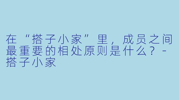 在“搭子小家”里，成员之间最重要的相处原则是什么？-搭子小家