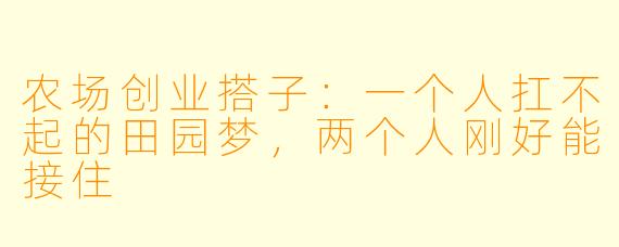 农场创业搭子:一个人扛不起的田园梦,两个人刚好能接住