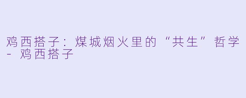 鸡西搭子:煤城烟火里的“共生”哲学-鸡西搭子