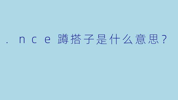 .nce蹲搭子是什么意思？
