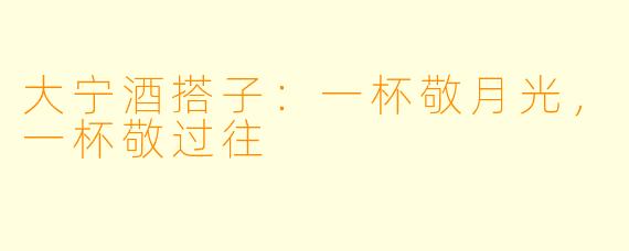 大宁酒搭子:一杯敬月光,一杯敬过往