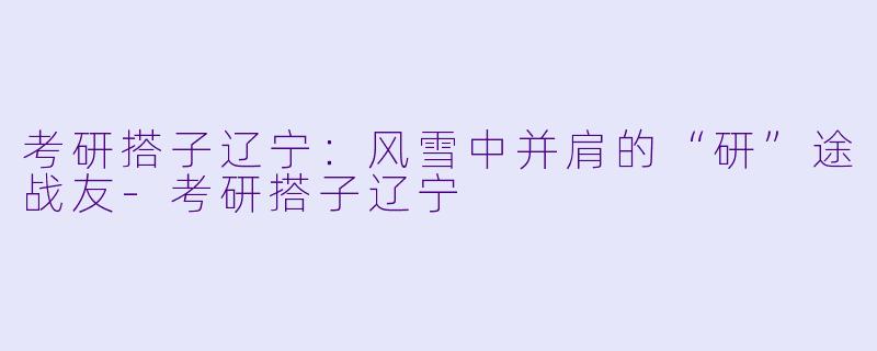 考研搭子辽宁:风雪中并肩的“研”途战友-考研搭子辽宁