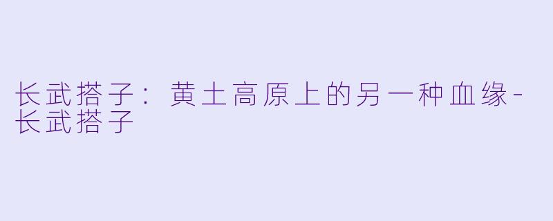 长武搭子:黄土高原上的另一种血缘-长武搭子