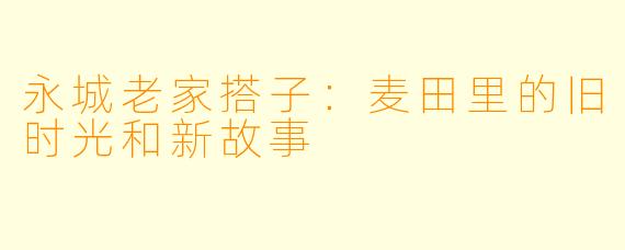 永城老家搭子:麦田里的旧时光和新故事