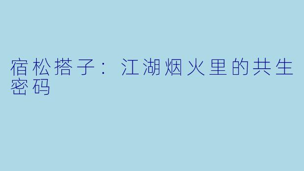 宿松搭子:江湖烟火里的共生密码