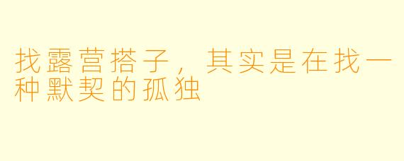 找露营搭子,其实是在找一种默契的孤独